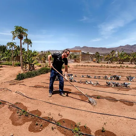 Playitas - Sports Aparthotel