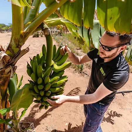 Lejlighedshotel Playitas - Sports 4*