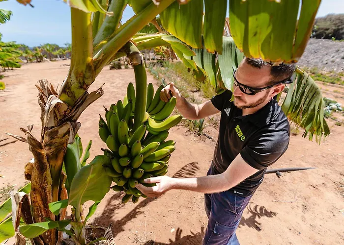 Hotel apartamentowy Playitas - Sports 4*