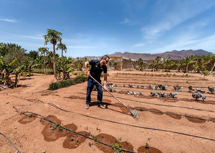 Playitas - Sports Aparthotel